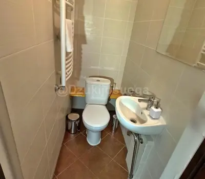 a small bathroom with a toilet and a sink at Dzūkijos uoga in Viršurodukis