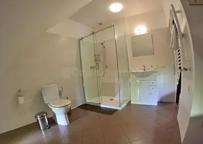 a bathroom with a shower and a toilet at Dzūkijos uoga in Viršurodukis