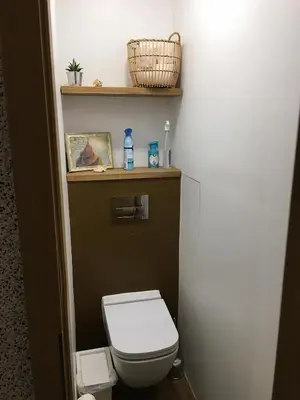 a small bathroom with a toilet and a shelf at Apartamentai Tytuvėnuose in Tytuvėnai