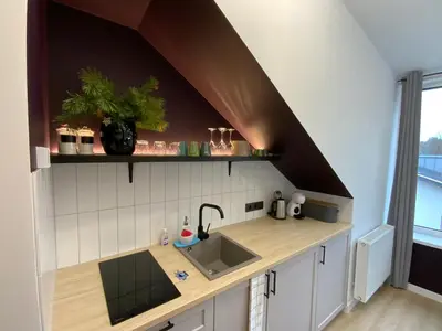 a kitchen with a sink and a stove at Salt Garden Superior double rooms in Druskininkai