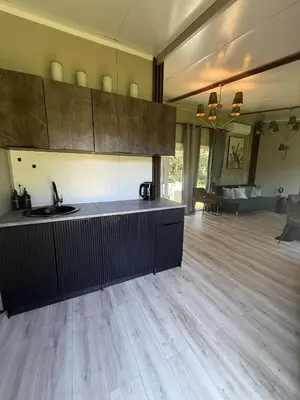 a kitchen with a sink and a counter in a room at Vila Forest Resort in Kvietkučiai