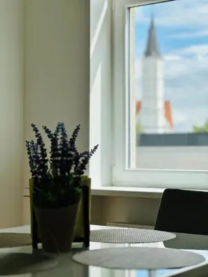 a potted plant sitting on a table in front of a window at Butas pačiame Šiaulių miesto centre in Šiauliai