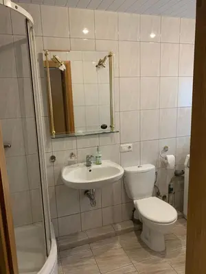 a bathroom with a toilet and a sink and a shower at Kepezinski ECO Apartments in Kaunas