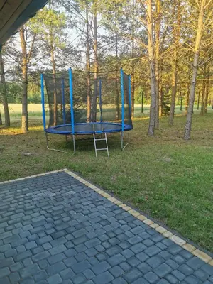 a couple of blue swings in a park at Apartamentai Pušyne in Druskininkai