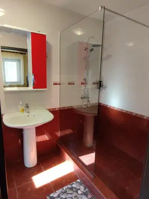 a bathroom with a sink and a glass shower at Apartamentai Pušyne in Druskininkai