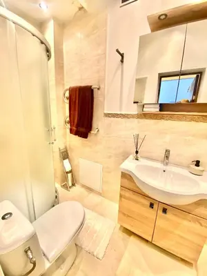 a bathroom with a sink and a toilet and a mirror at City Central apartament in Šiauliai