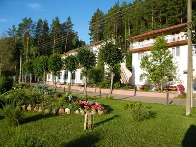 a garden in the middle of a green field at Svečių namai ALDAIVITA in Ignalina