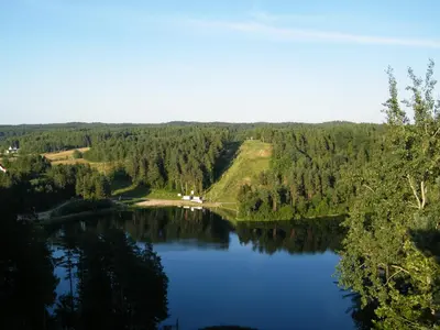 an aerial view of a lake with trees and a house at Svečių namai ALDAIVITA in Ignalina