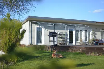 a dog laying in the grass in front of a house at Bajorų sodyba in Padvarionys