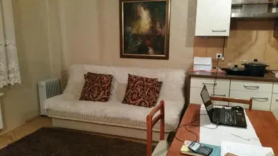 a living room with a couch with two pillows at Neravu namai in Druskininkai
