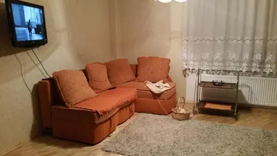 a living room with a brown couch and a tv at Neravu namai in Druskininkai