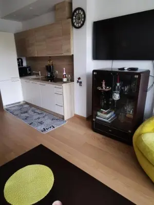 a living room with a kitchen and a tv at Vita Apartment in Druskininkai
