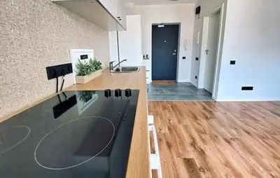 a kitchen with a sink and a counter top at New Ozas flat in Vilnius