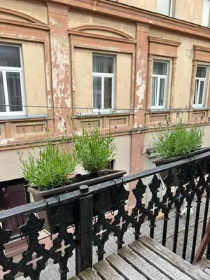 a balcony with a bench and plants on a building at Old town apartment in Kaunas