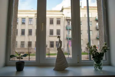 a window with a dress on a window sill with flowers at Nica Apartment in Šiauliai