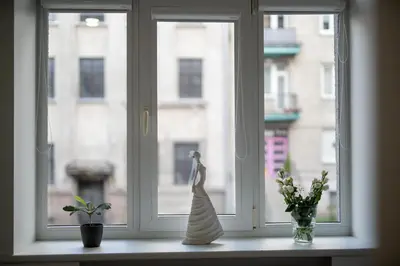 a window with two vases and flowers on a window sill at Nica Apartment in Šiauliai