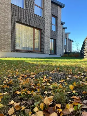 a house with autumn leaves in front of it at SPA TOWN house I in Druskininkai