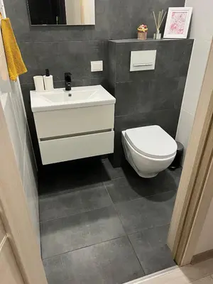a bathroom with a white sink and a toilet at SPA TOWN house I in Druskininkai