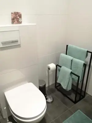 a bathroom with a toilet and a towel rack at SPA TOWN house I in Druskininkai