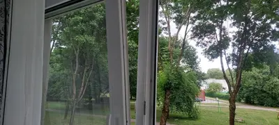 an open window with a view of a yard at Pakeliui in Kaunas