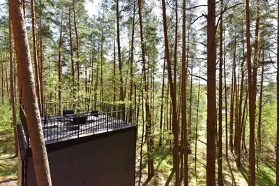 a platform in the middle of a forest with trees at Premium Forest Bungalow with Ofuro Tub in Luokesos Sen