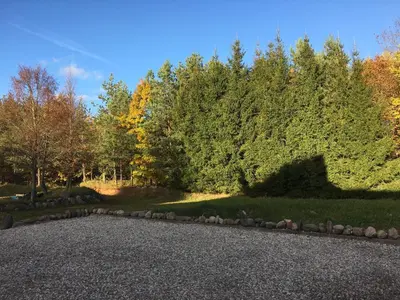 a gravel driveway with trees in the background at Klykių apartamentai in Klykiai