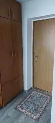 a room with a door and a rug next to a closet at Pas Olia 2 in Zarasai