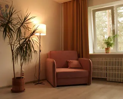 a living room with a chair and a plant at Sunny apartment with lake and forest view in Visaginas