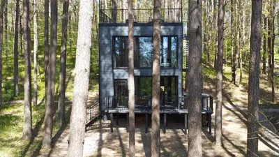 a tree house in the middle of the woods at Premium Forest Bungalow with HOT TUB in Ažuluokesa