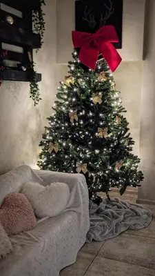 a christmas tree in a living room with a couch at Baltamiškio slėnis in Baltamiškis