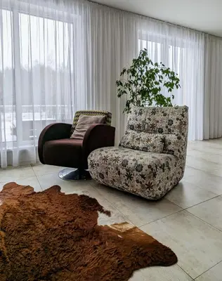 a living room with a chair and a plant at Baltamiškio slėnis in Baltamiškis