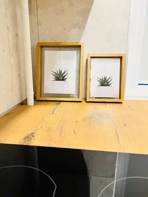 two framed photos of a plant on a table at Saulėti apartamentai Trakuose/Sunny apartment in Trakai in Trakai