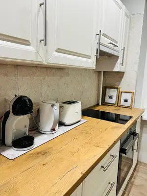 a kitchen with white appliances on a counter at Saulėti apartamentai Trakuose/Sunny apartment in Trakai in Trakai