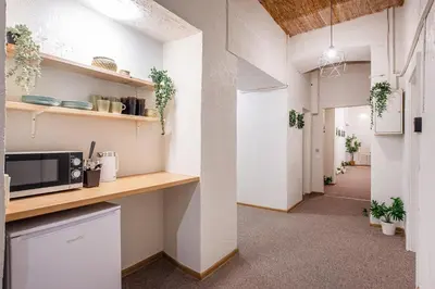 a corridor of an office with plants on shelves at Bali house Vilnius in Vilnius