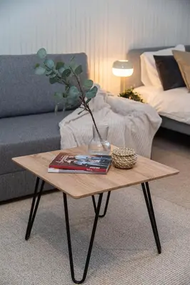 a coffee table with a vase on it in a living room at Bali house Vilnius in Vilnius