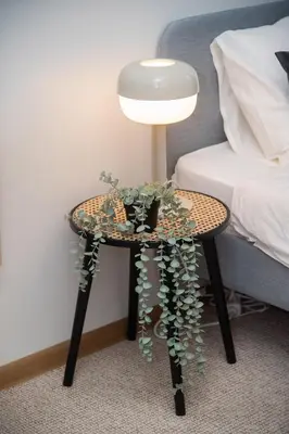a table with a plant on it next to a bed at Bali house Vilnius in Vilnius