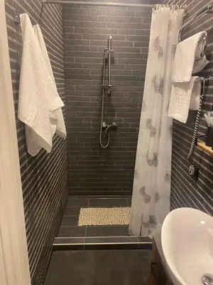 a bathroom with a shower and a sink at Trumpalaikė Nuoma-Apgyvendinimas in Rokiškis