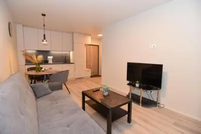 a living room with a couch and a tv and a table at Naujai įrengtas 2-jų kambarių butas in Šiauliai