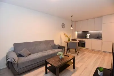 a living room with a couch and a table at Naujai įrengtas 2-jų kambarių butas in Šiauliai