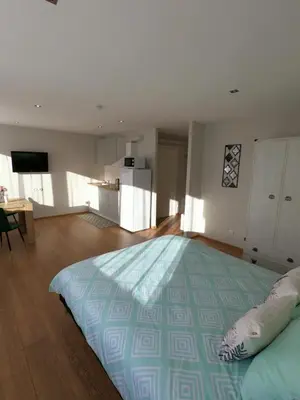 a bedroom with a large bed in a room at Stay in center #Šiauliai in Šiauliai