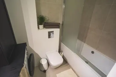 a bathroom with a toilet and a shower at Old Town Apartment in Kaunas