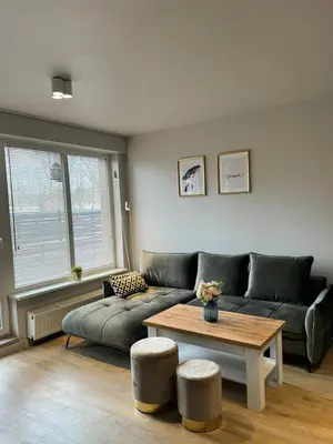 a living room with a couch and a table at Liepu Apartments Druskininkai in Druskininkai