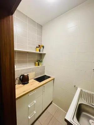a small kitchen with a sink and a counter at Liepu Apartments Druskininkai in Druskininkai
