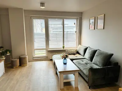 a living room with a couch and a table at Liepu Apartments Druskininkai in Druskininkai