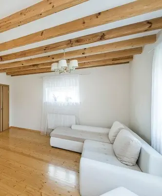 a living room with a white couch and wooden ceilings at 3-bedroom villa surrounded by beautiful nature in Vaišvydava