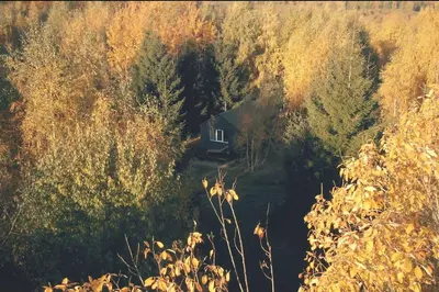a house in the middle of a forest of trees at Hand made Off Grid forest Cabin Luna in Luksine