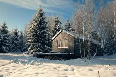 a small wooden cabin in the snow with trees at Hand made Off Grid forest Cabin Luna in Luksine