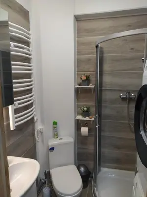 a small bathroom with a toilet and a shower at Bruklinas in Šiauliai