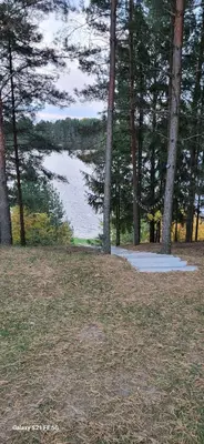 a view of a lake in a forest with trees at Drulenu sodyba in Drūlėnai