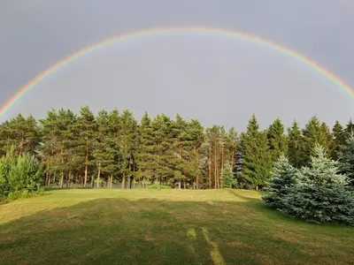 a rainbow over a field with trees in the background at Drulenu sodyba in Drūlėnai